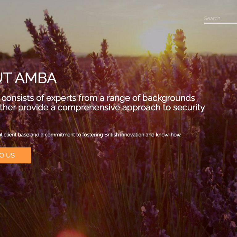 B2B Web Design screenshot