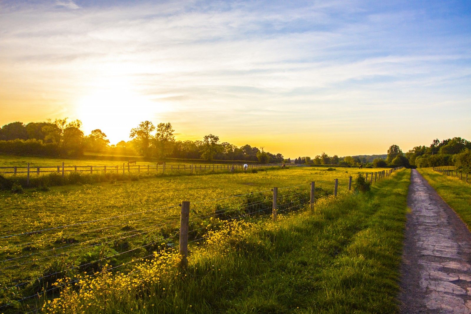 Rightmove Integrated Website screenshot