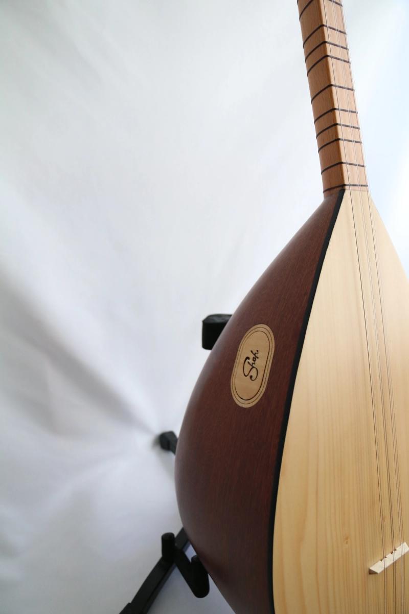Baglama, view 4