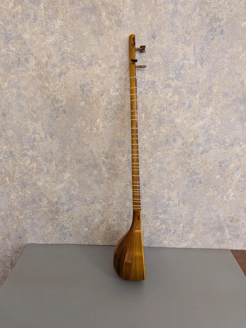 Setar by Mahmoudi, view 2