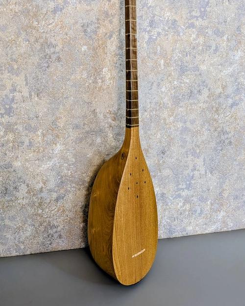 Tanbur by Hossein Yari