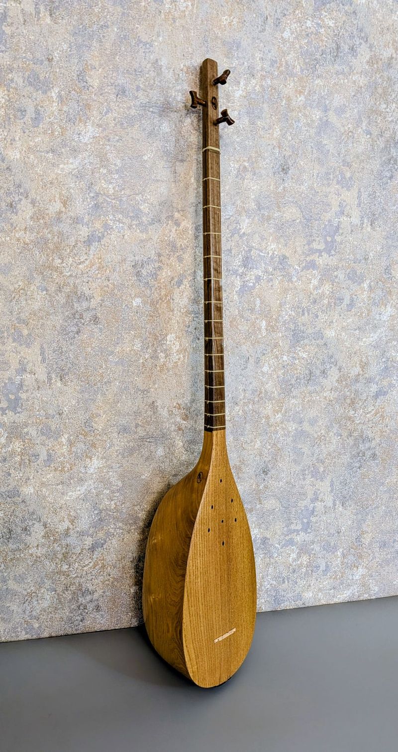 Tanbur by Hossein Yari