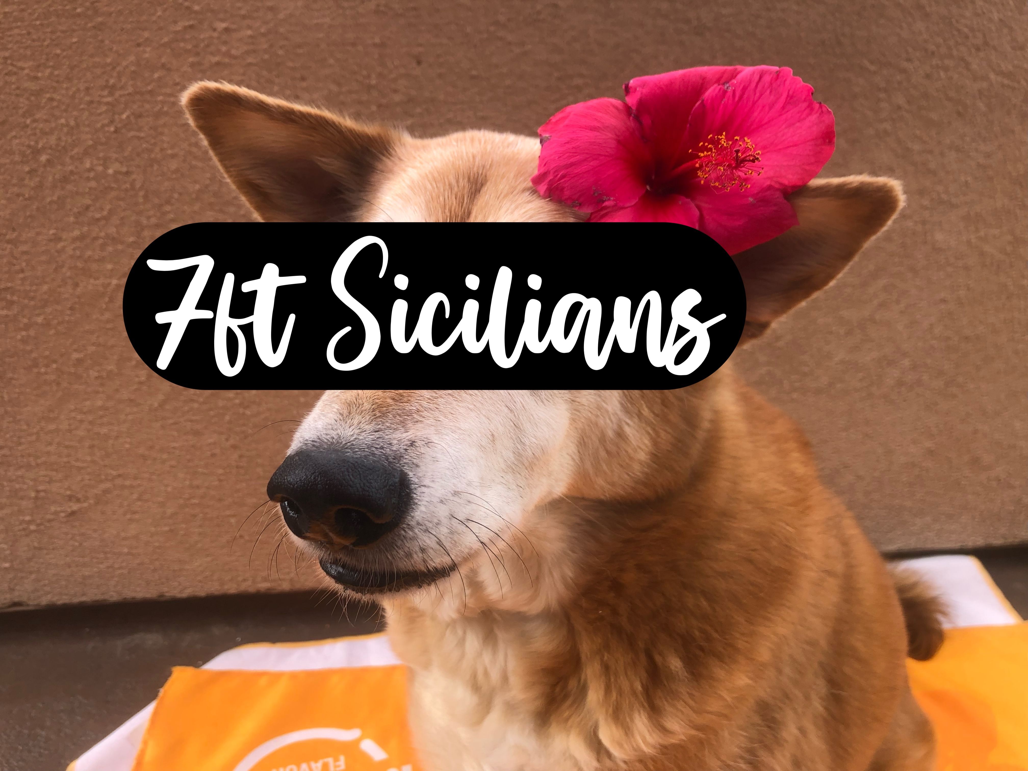 The Sicilian Slice