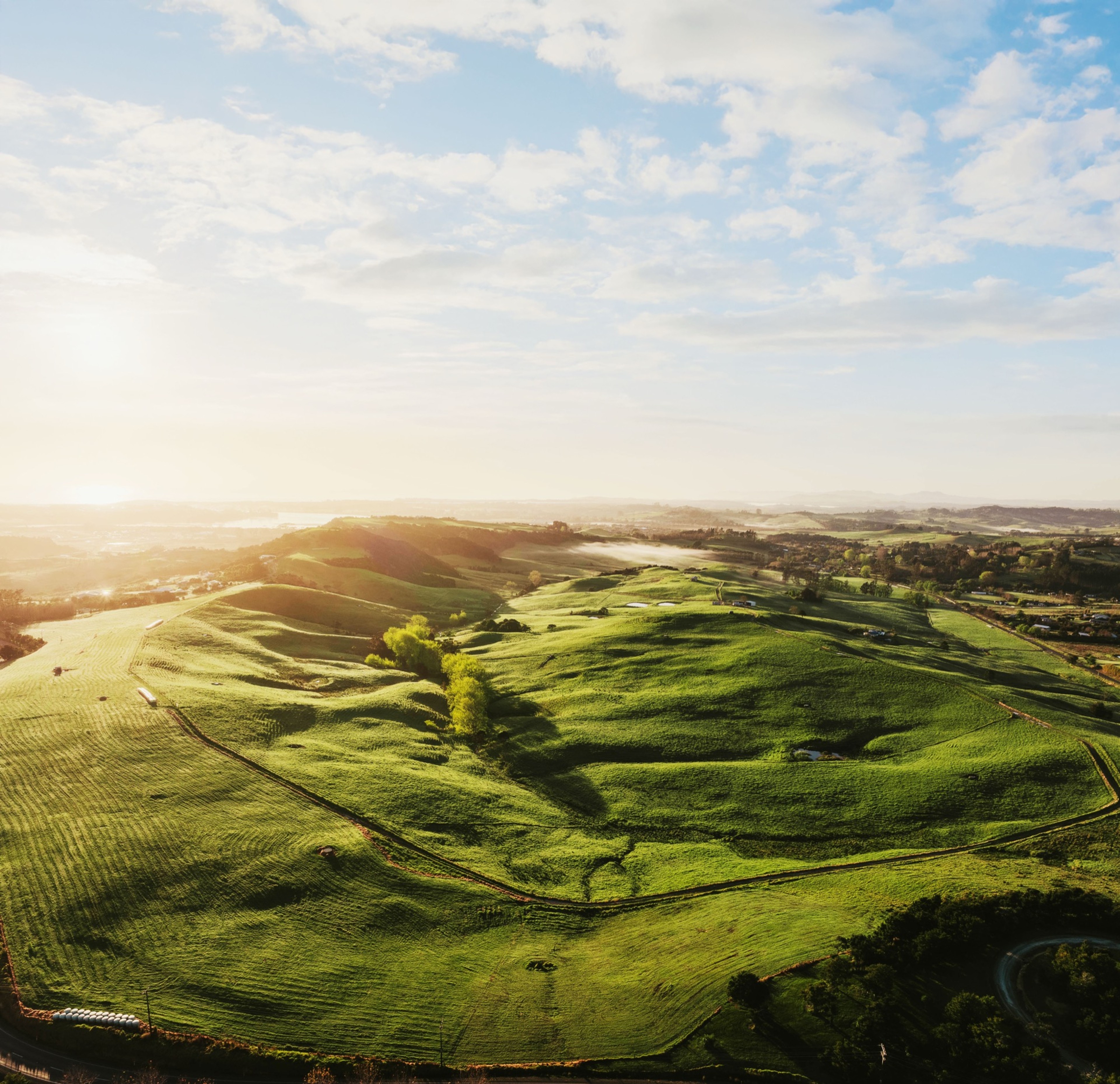 Aerial view of green rolling hills at sunrise
