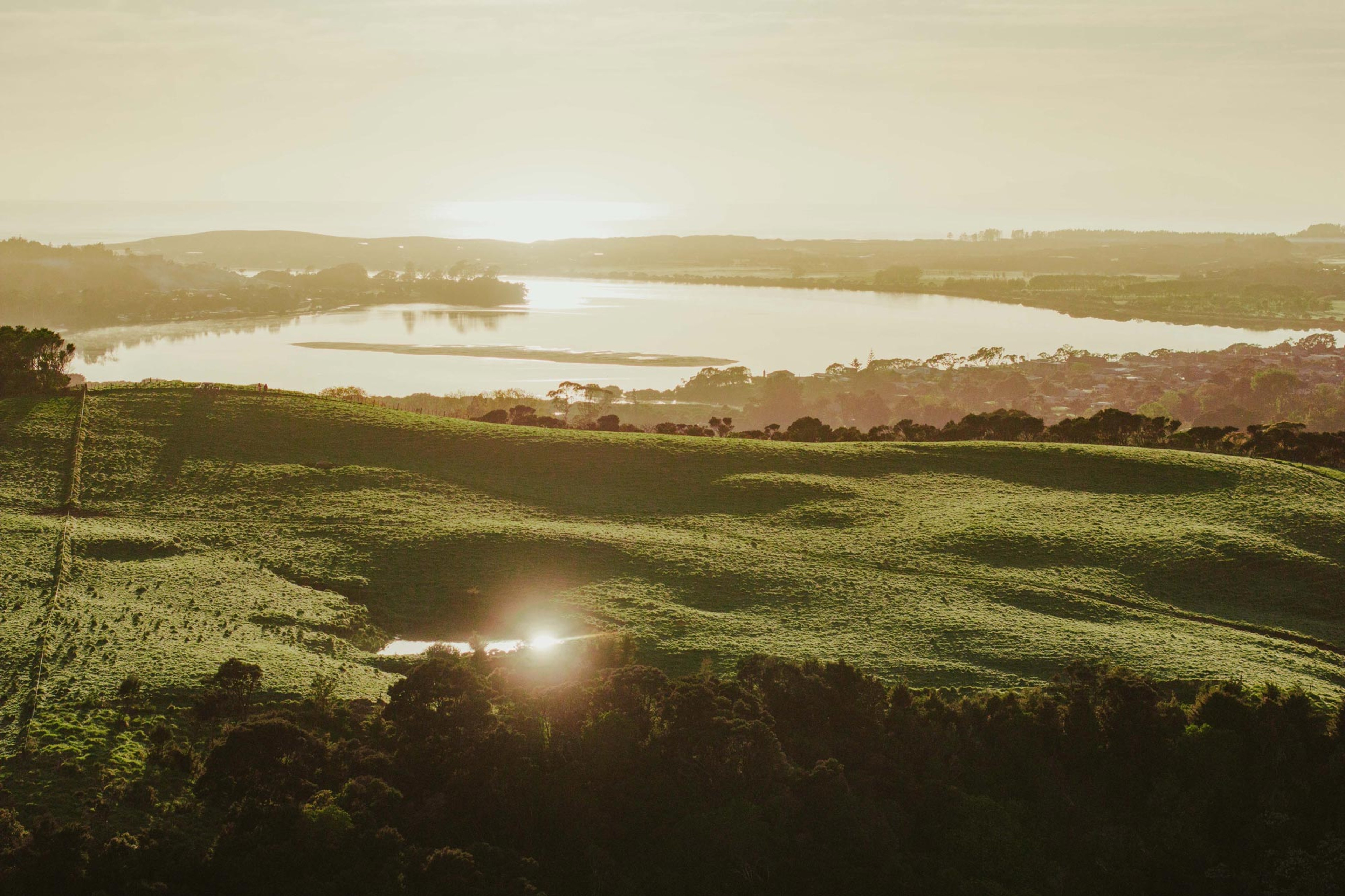 Morning light over green farmland and the Mangawhai Harbour