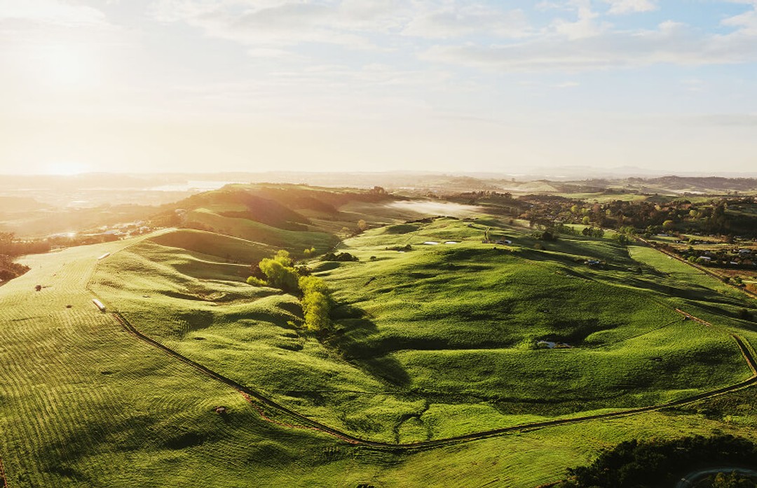 Landscape picture of grassy hills