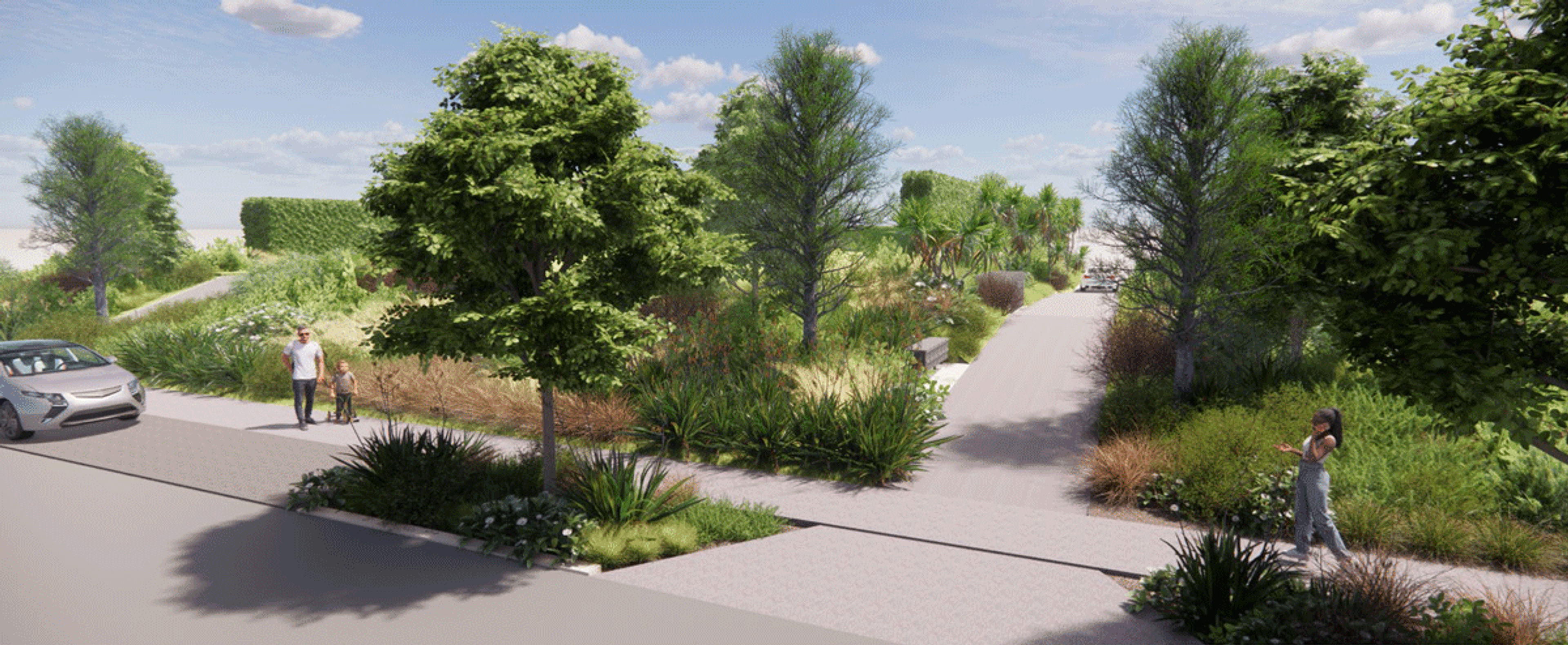 Artist's render of a Cove Heights streetscape with native planting