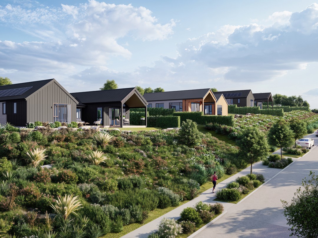 Mangawhai Hills houses