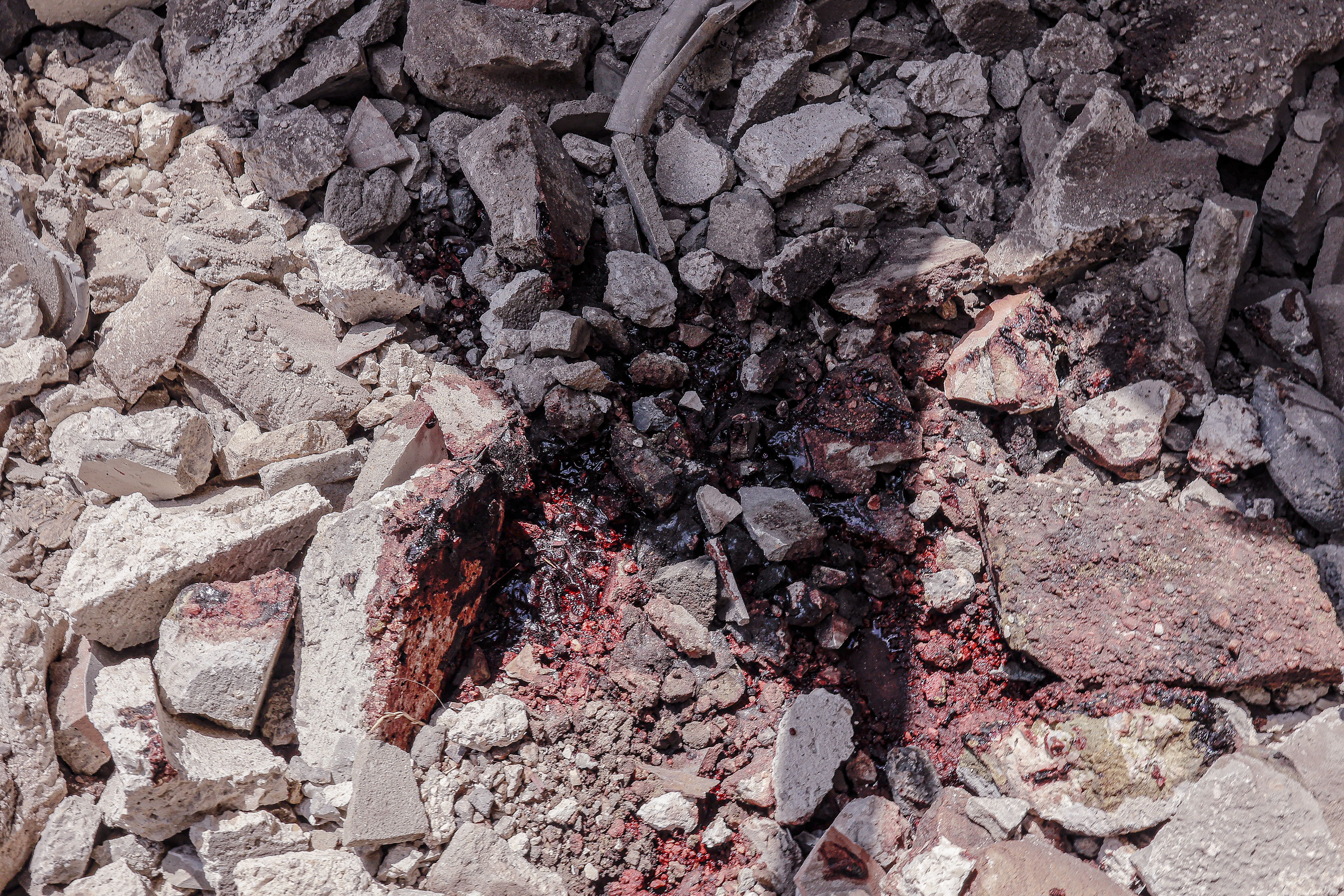 Изображение-image-076d98fcf779d6cbc0565f10205cfe6ffdb696e4-5472x3648-jpg