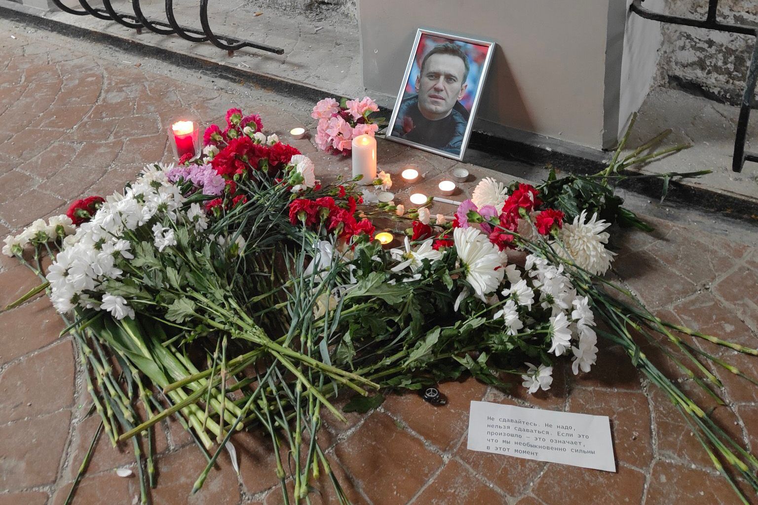 Изображение-image-0efe677c2e2921c2f5a81496bfe504bc492579a9-1536x1024-jpg