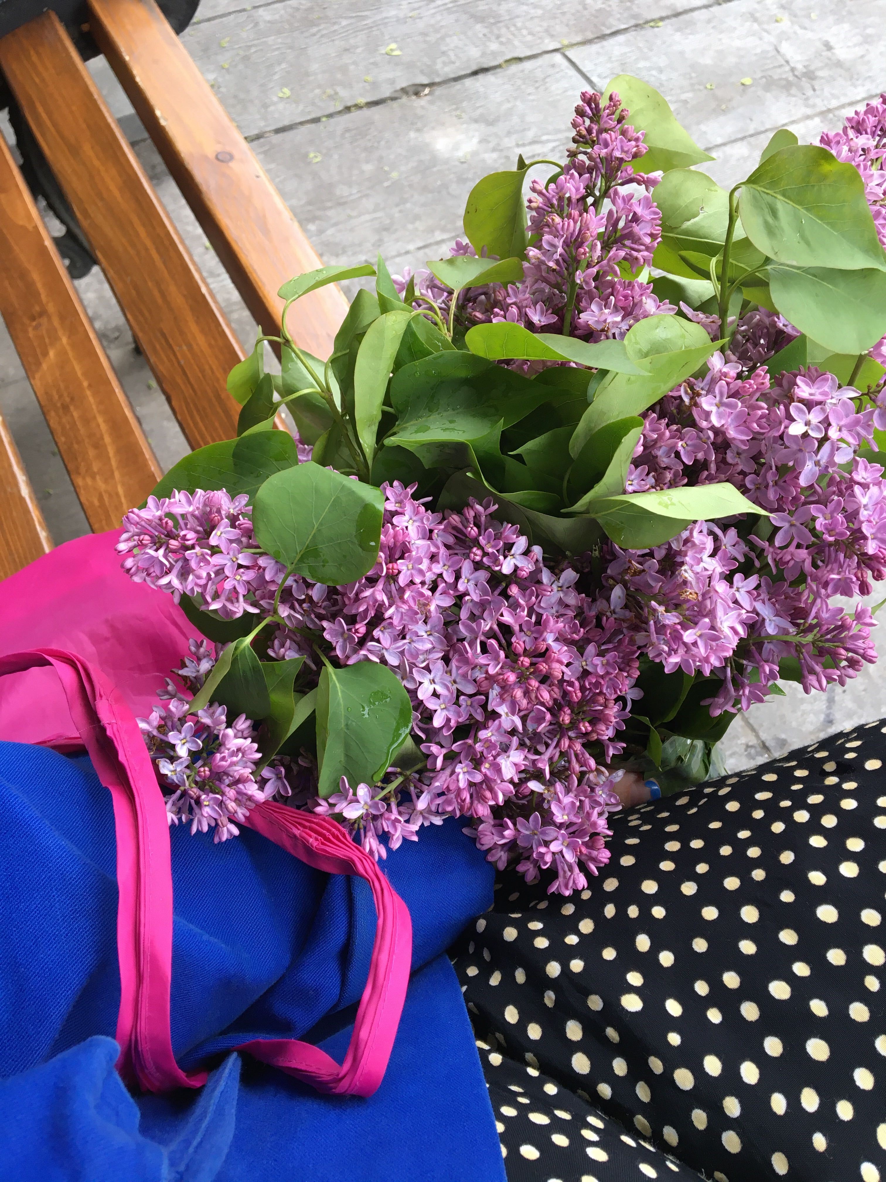 Изображение-image-113a4602947091c91bb95d4d05314fed7c18b3fe-3024x4032-jpg