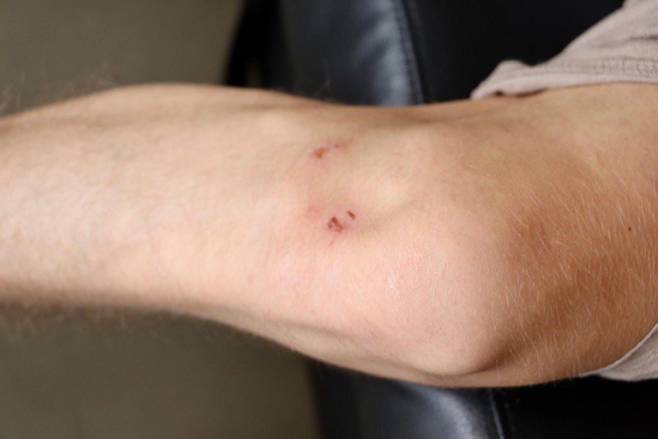 Изображение-image-122c1c94e249bc9327d626f5c6d4e8e4dc986e5e-1280x853-jpg