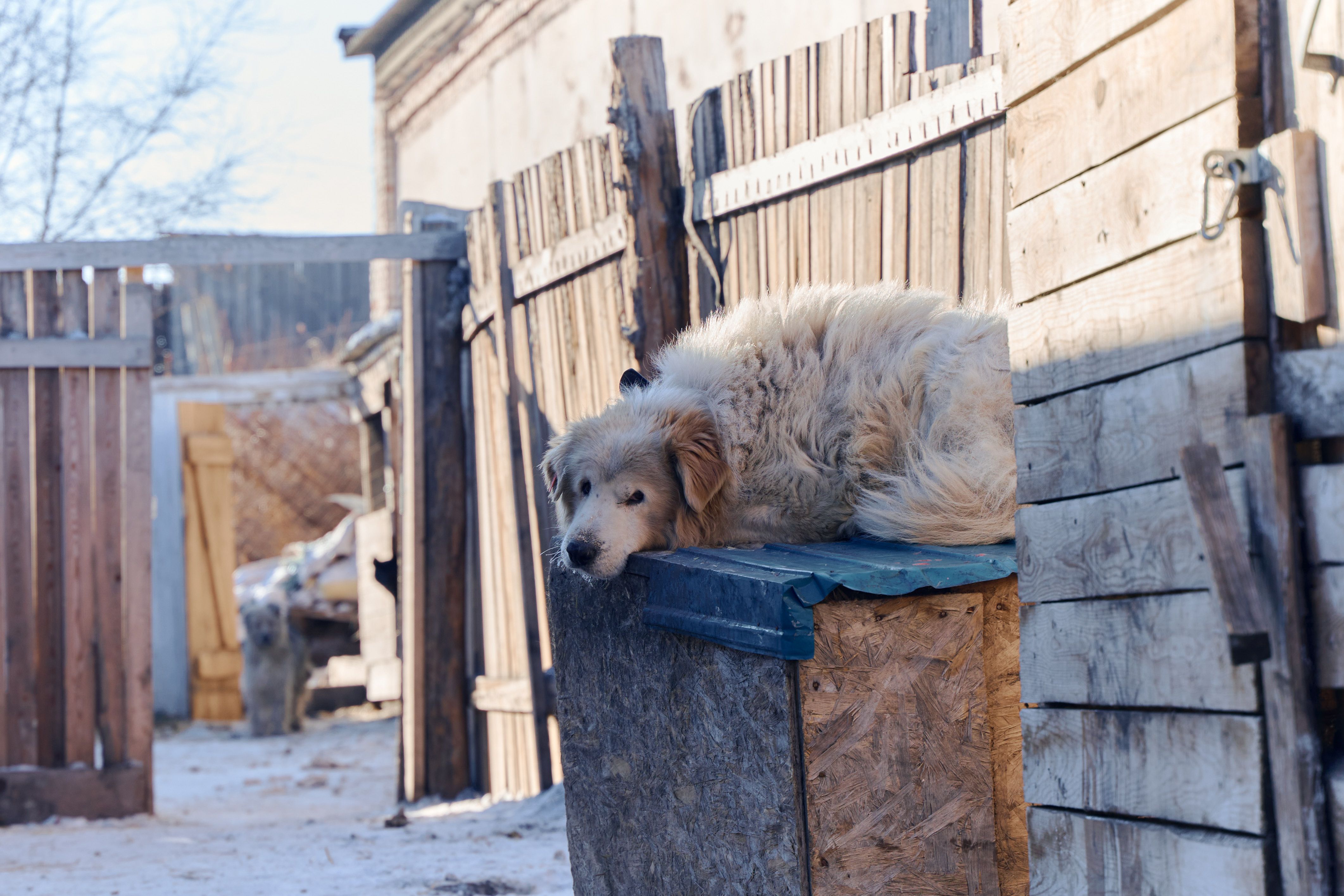 Изображение-image-14f25d87376e8e0691414e16a237c25b1a116ebf-4246x2831-jpg