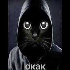 Изображение-image-15137b7469381eb4a24440bcc126f65075bbd43d-225x225-jpg