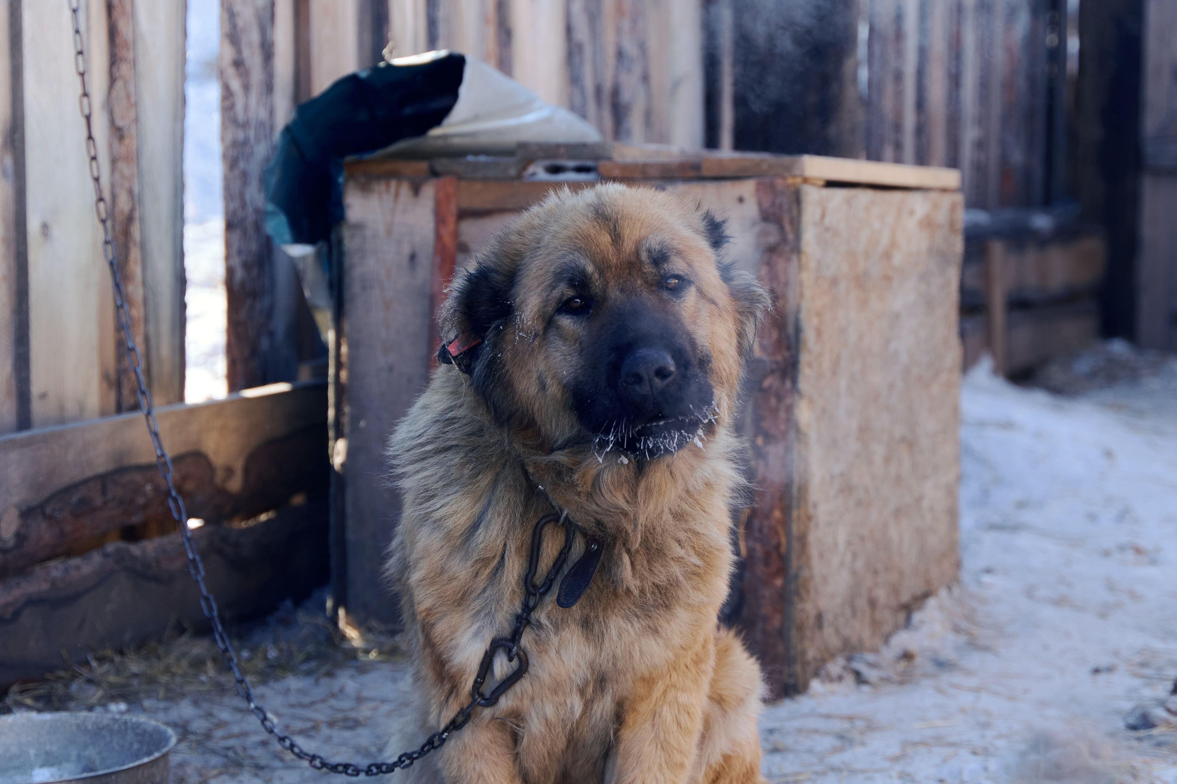 Изображение-image-1724c73e7e28541ade14a6a8ed86bb8067f339ce-4048x2699-jpg