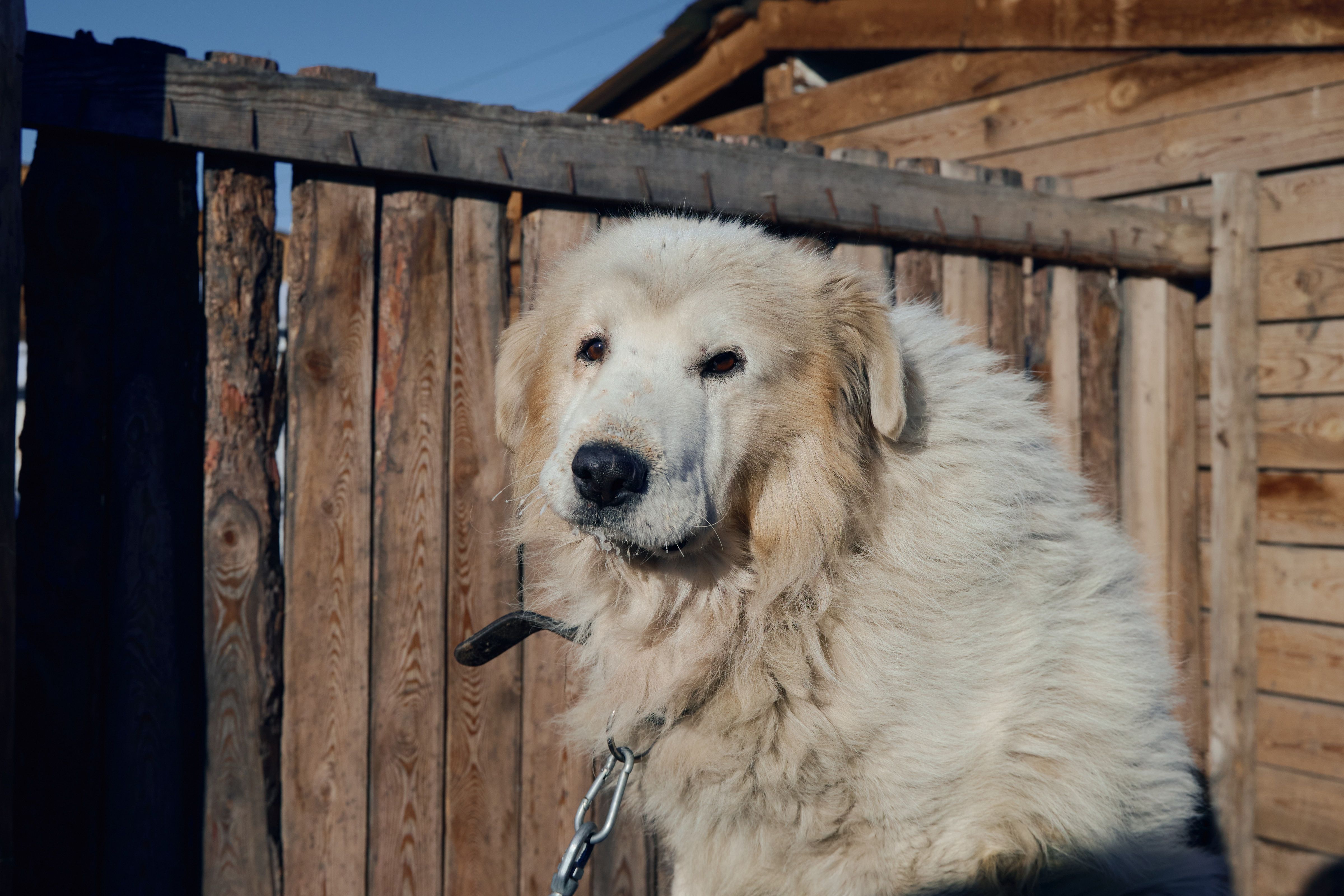 Изображение-image-17265bd706288df234f74887f7e62cfe98e31b05-4800x3200-jpg