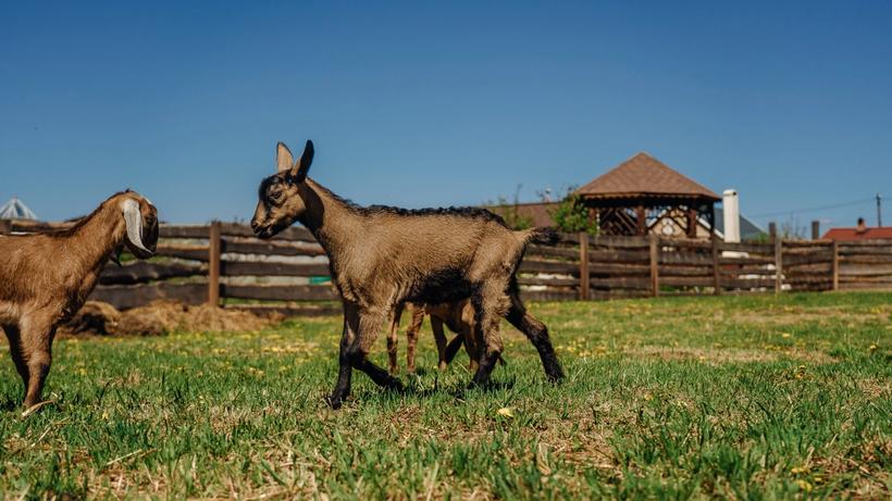 Изображение-image-1dff59886df03b3cfe91f849f82fc77749ae8774-2560x1706-webp