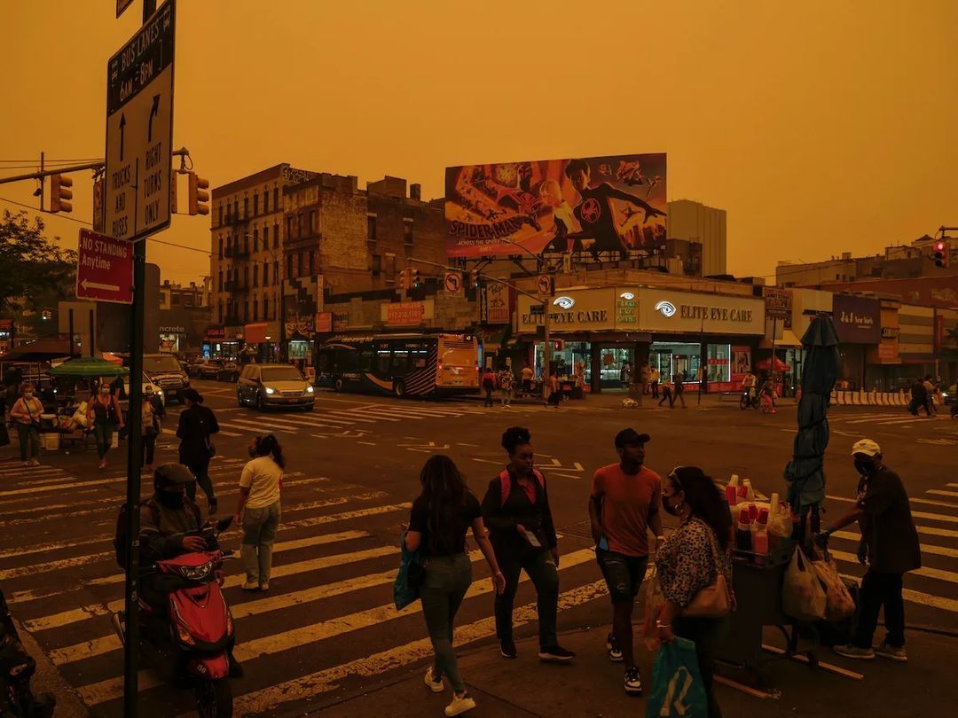 Изображение-image-284b3a09dd0f7bc51265c767fe112be3ed71b252-1080x810-jpg