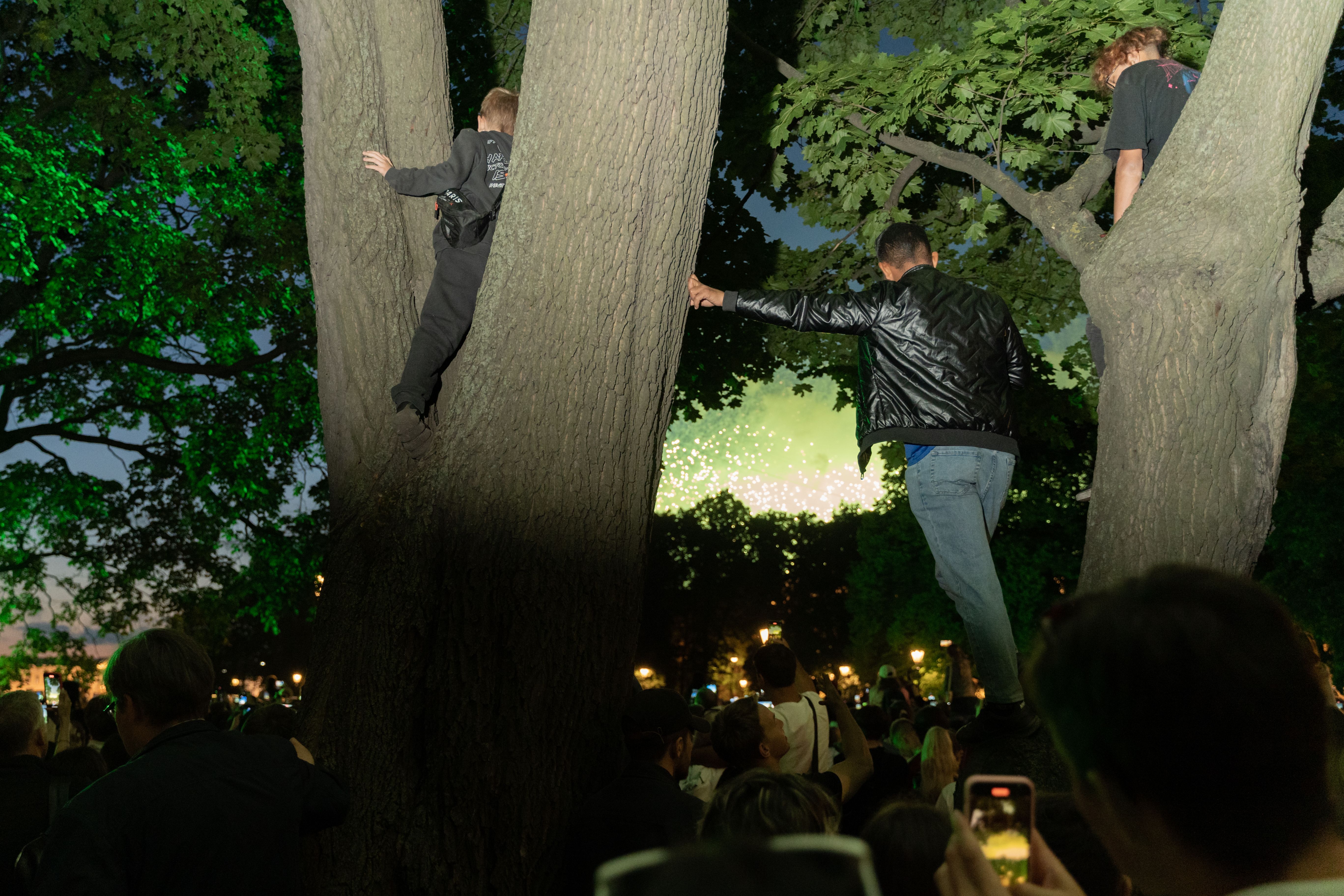 Изображение-image-2ef5809ff937a37197e4fab5898830dda1ba84f9-5470x3647-jpg