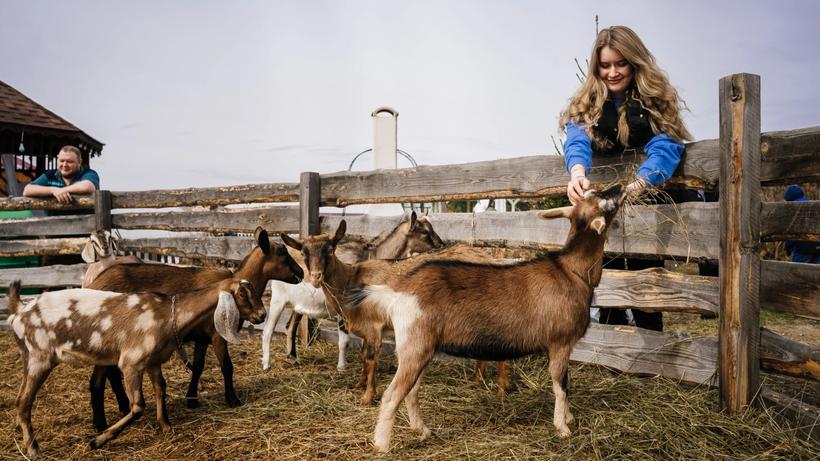 Изображение-image-32aa879d3bcdbcc97effb2c4c3f8fc581c119b9e-2560x1707-webp