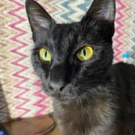 Изображение-image-3d20d5fb956193b6a0a667db54bee2a567e75009-3024x4032-jpg