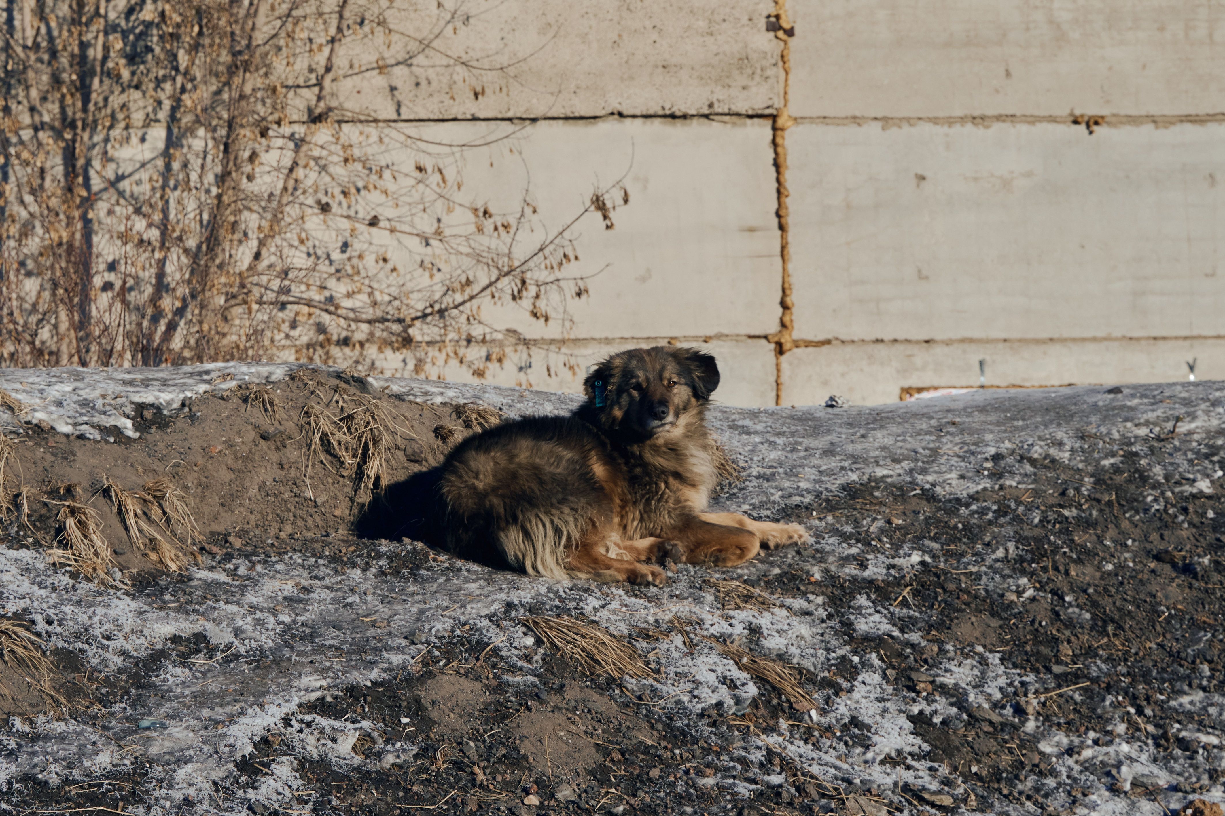 Изображение-image-4bfd522756c92423312582fa47651953ea26f694-4253x2835-jpg