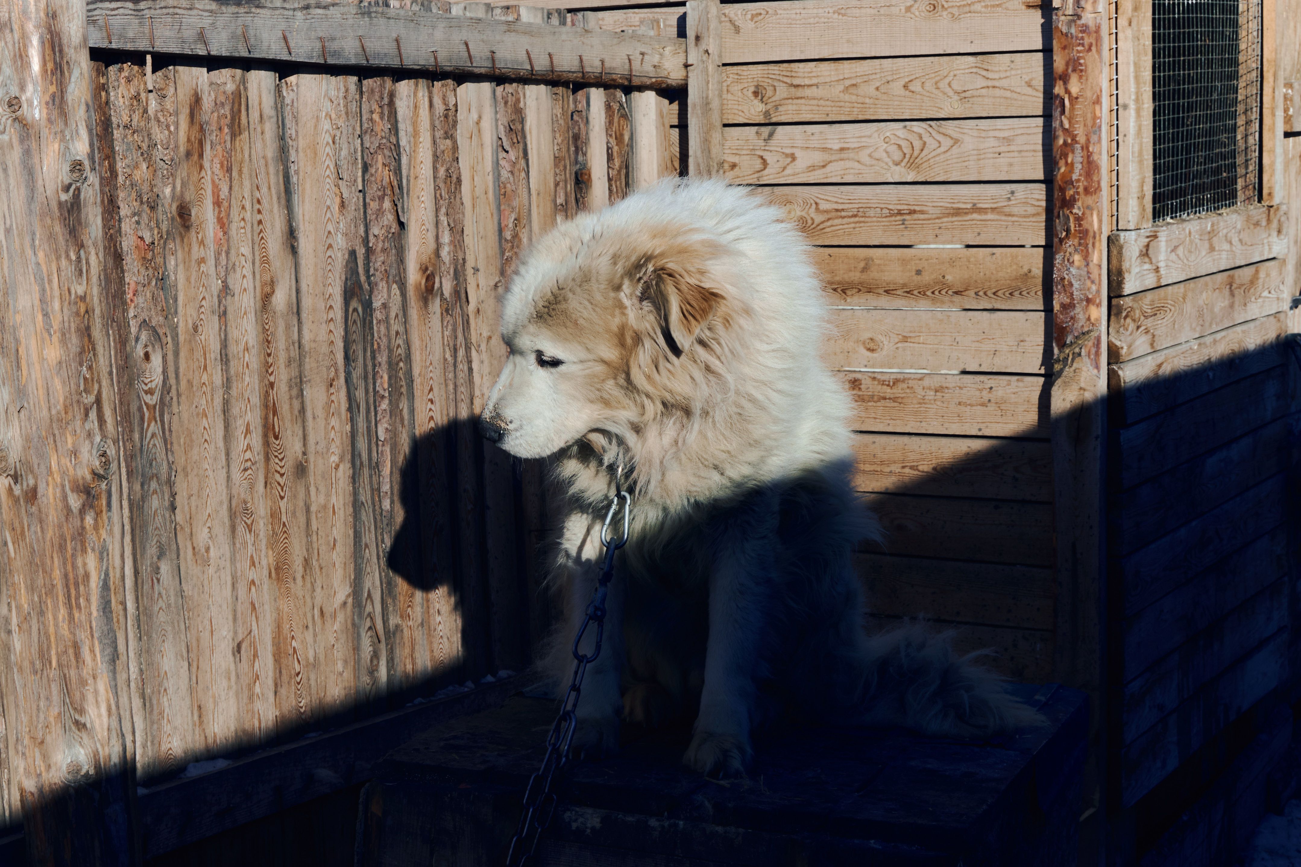 Изображение-image-50c3b91b08ac3073007d89c3a0bc86d44ef079a5-4316x2877-jpg