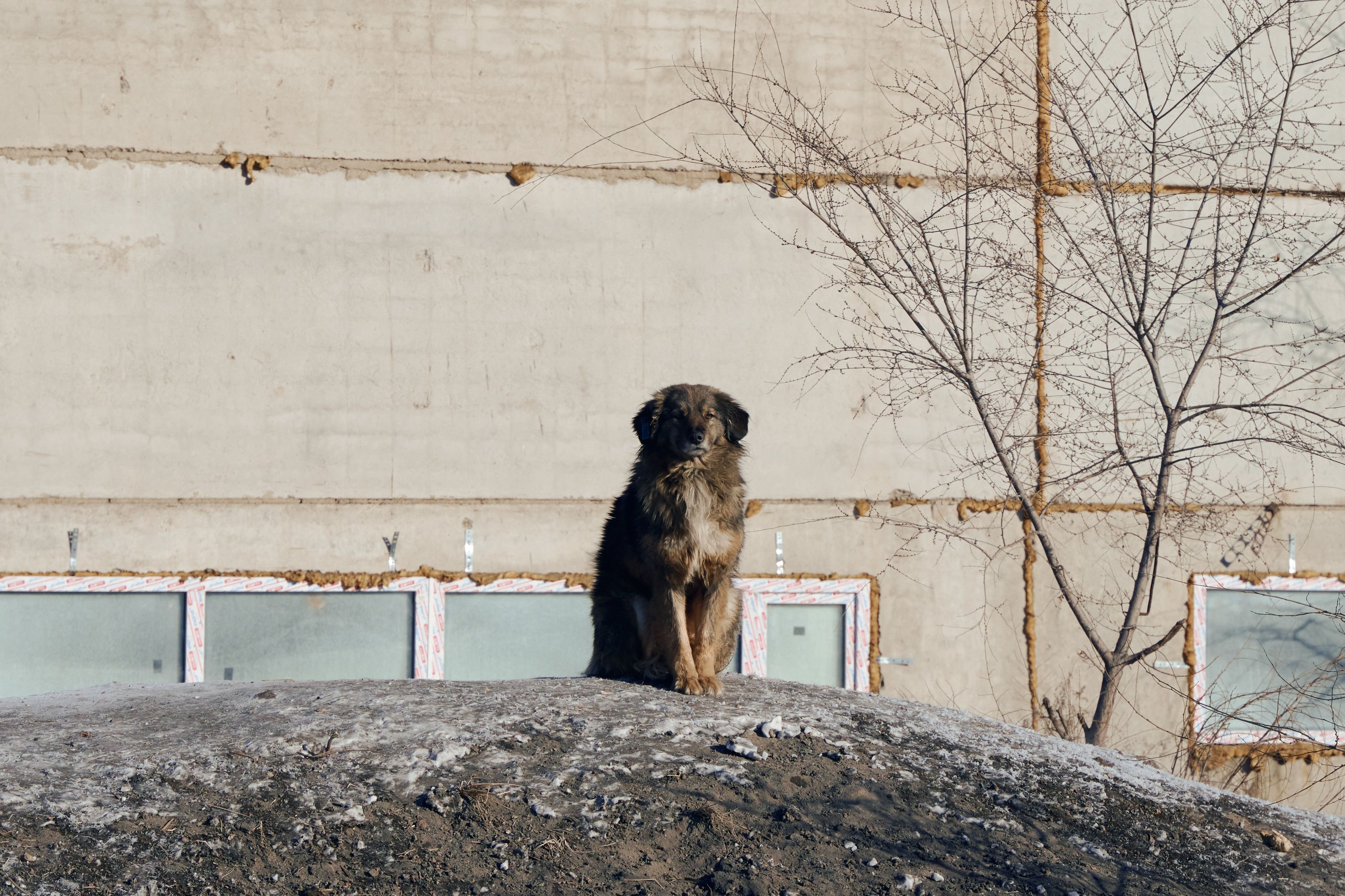 Изображение-image-552b9739aafcb0c05038f0d1ff63ce8e78576577-3761x2507-jpg