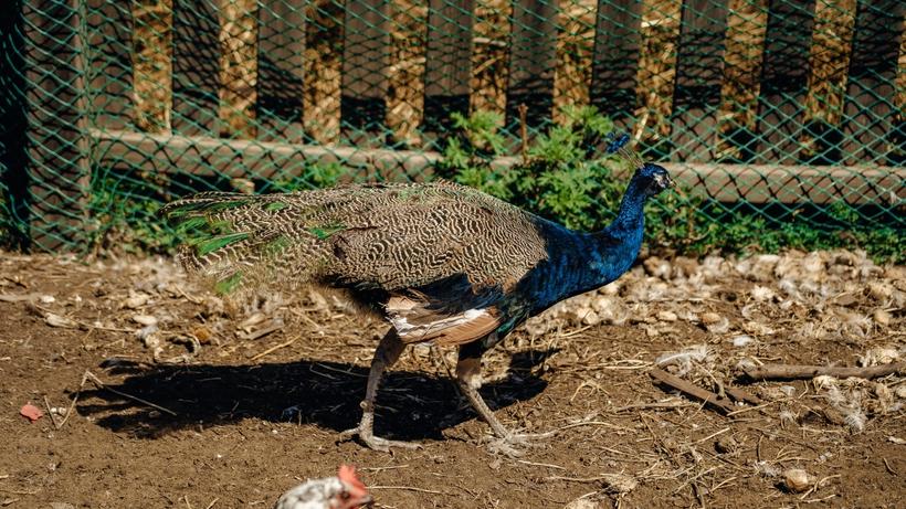 Изображение-image-65a8915eb7882be31fe9972ef7b7cbfe431fd885-2560x1706-webp