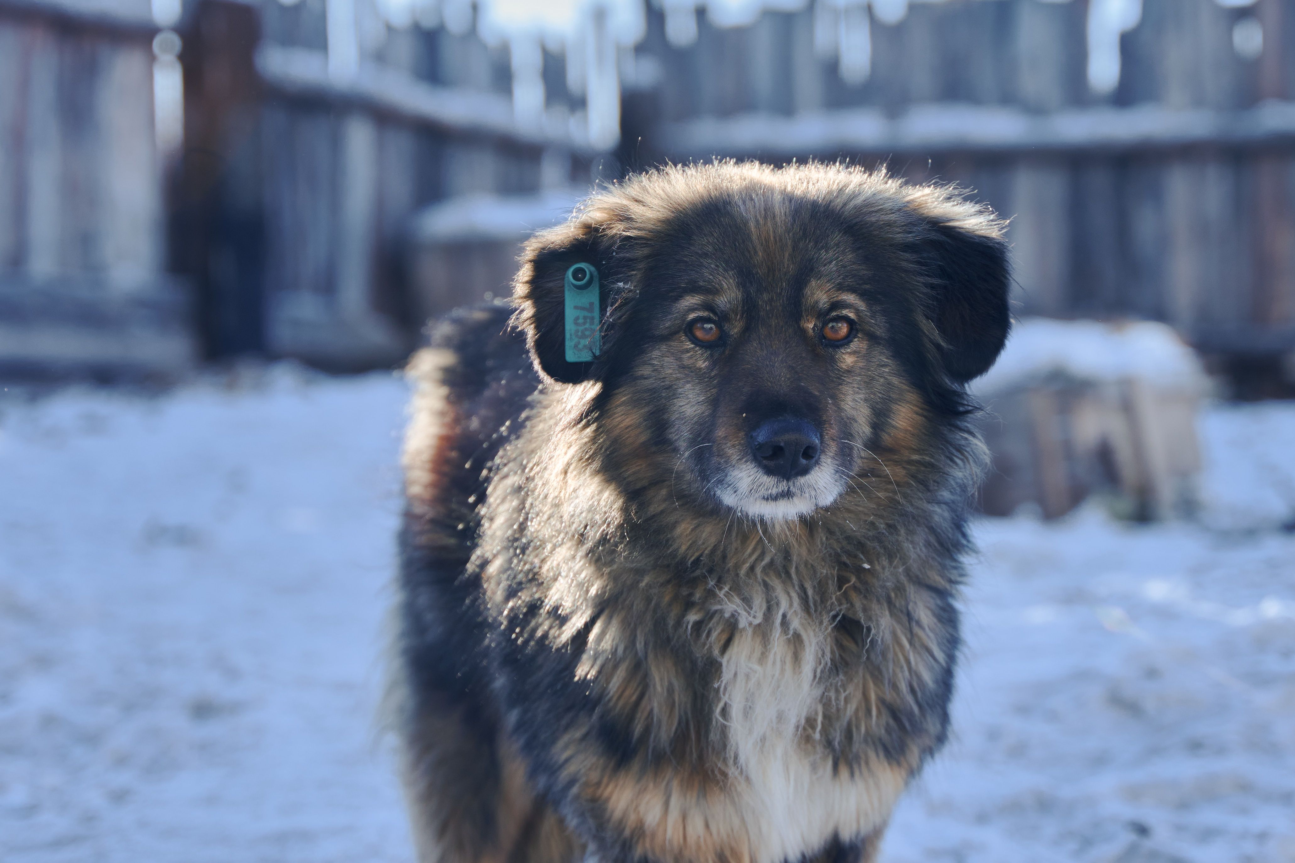 Изображение-image-68fb1df5698eed86ec6c591c20c8d7a923dbc3a3-4122x2748-jpg