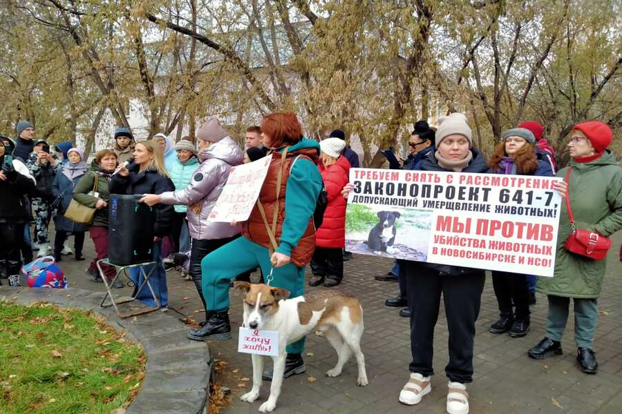 Изображение-image-6cbacfc4b4b92a2a2a37e340795e783921b3afb7-900x600-jpg