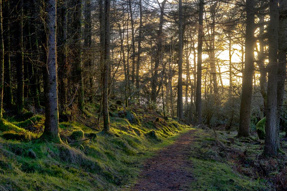 Изображение-image-7dbe583088b87c0a3206ae6af032f392da2ad621-940x625-jpg