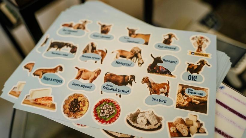 Изображение-image-80d4994deb4869c233ecb9ecc84aa2f1aa945f86-2560x1707-jpg