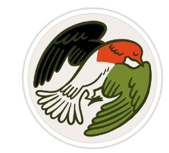Движение PAR BRĪVU PALESTĪNU (За свободную Палестину)