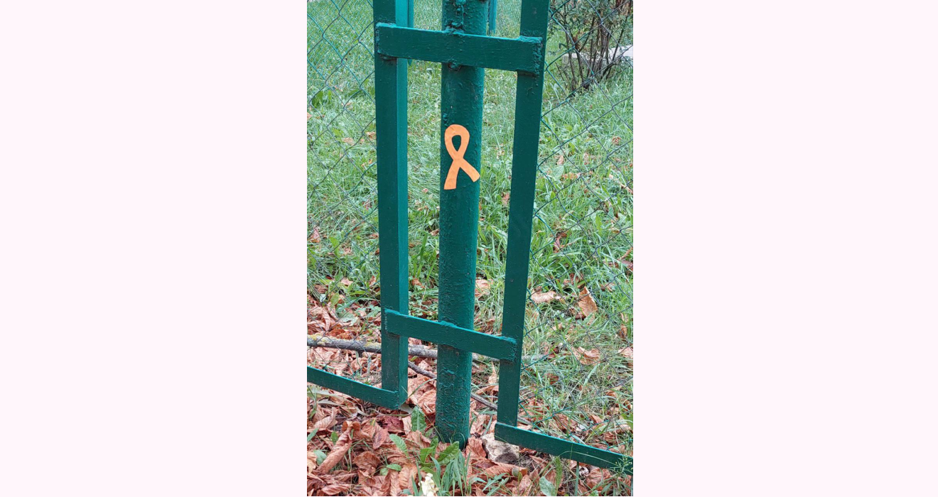 Изображение-image-828d25466bbcaeb34813adac4eb6df709be142ab-1320x700-png