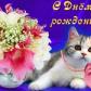 Владимир Энцо