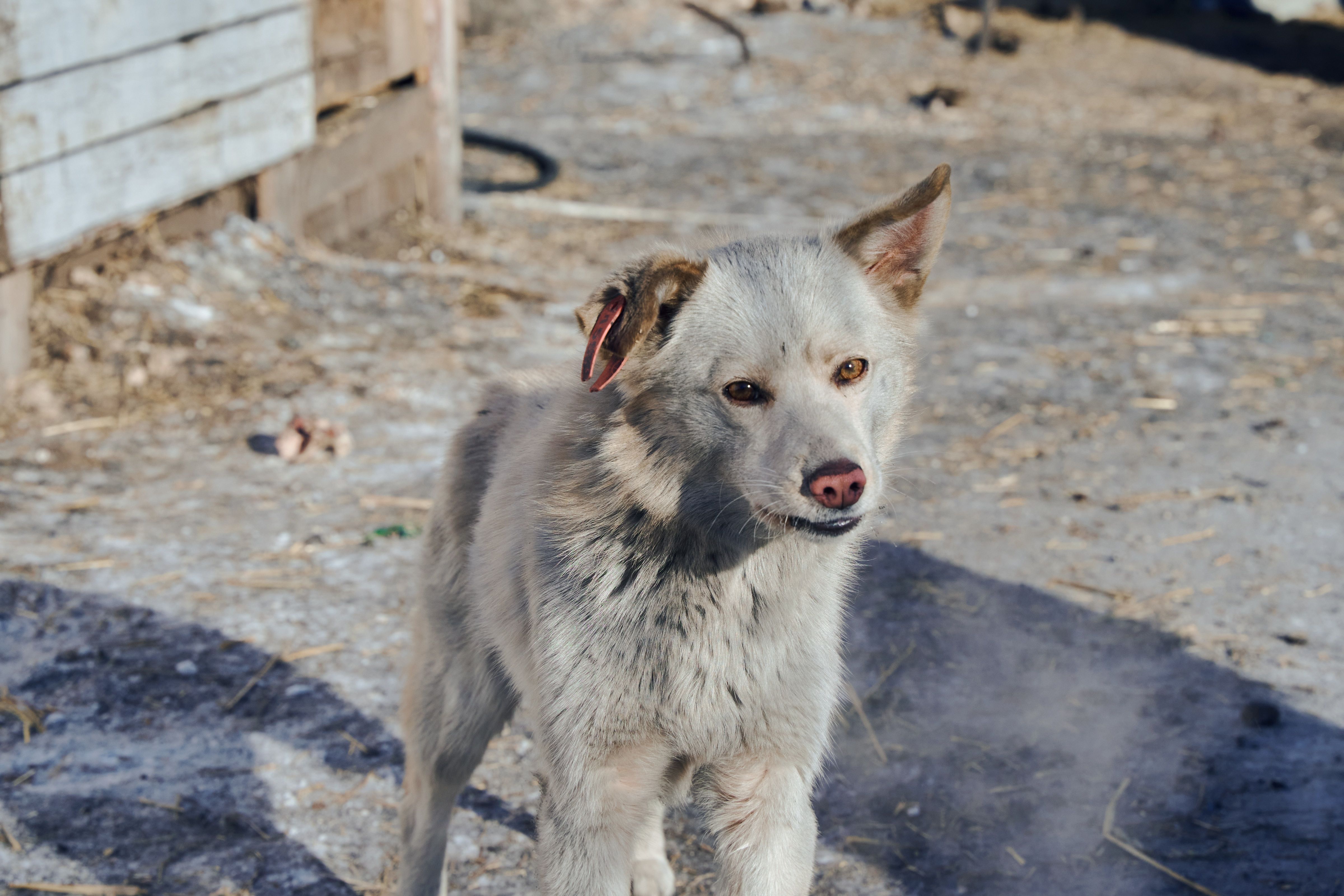 Изображение-image-8c139b2a68096332dee2baf4c6ce55825a2b36d2-4800x3200-jpg