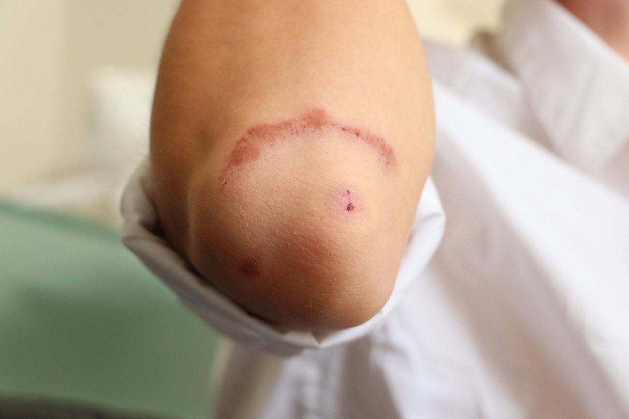 Изображение-image-934707df3a62ebc3d81c51401c725312edde4caa-1280x853-jpg