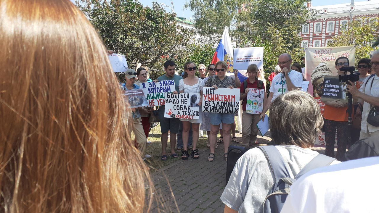 Изображение-image-9e255d2b7de68ff0faa2cc82a503b8f263907bfa-1280x720-jpg