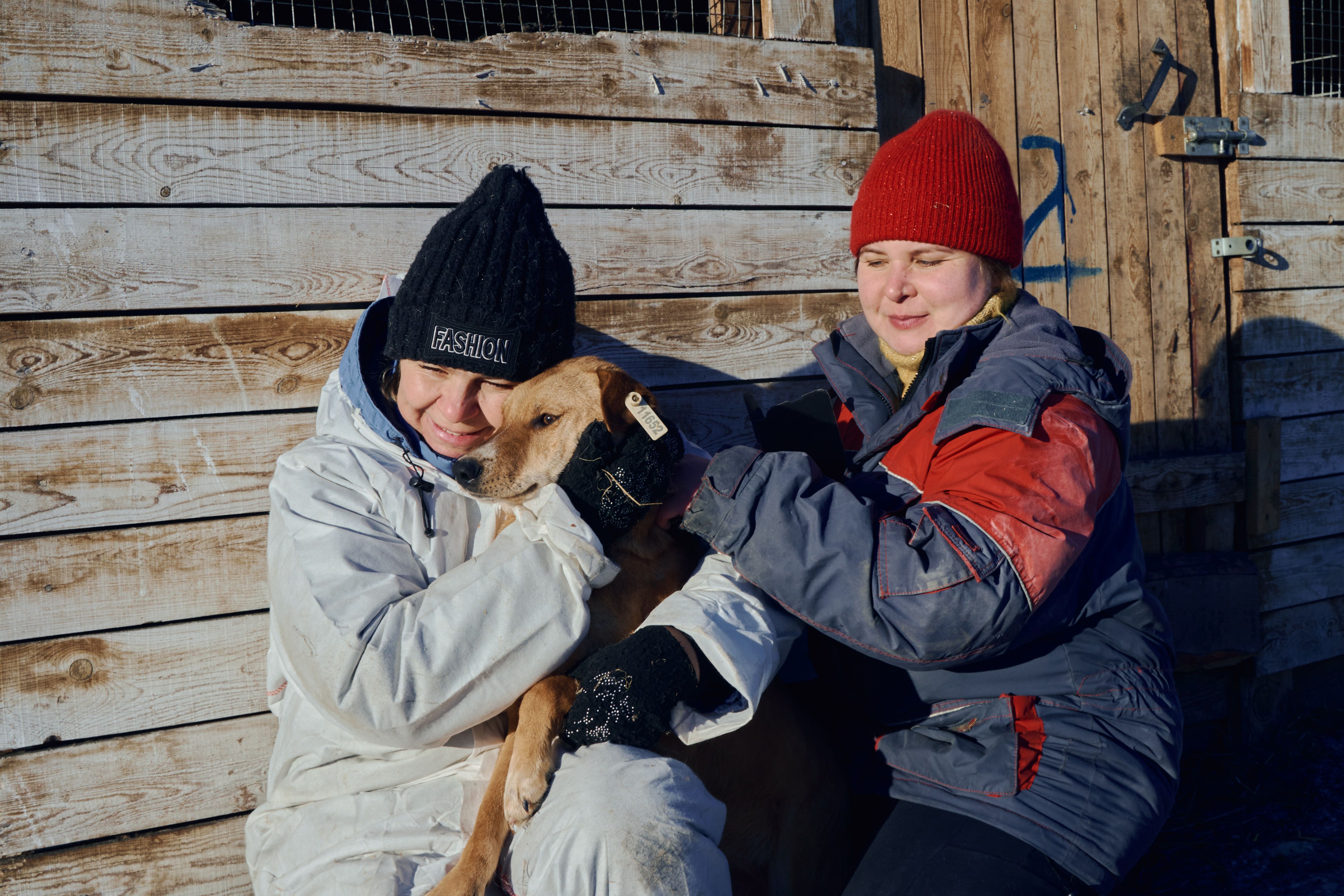 Изображение-image-acccd1e064b1800eaf7c2f6681756502660e6779-4800x3200-jpg