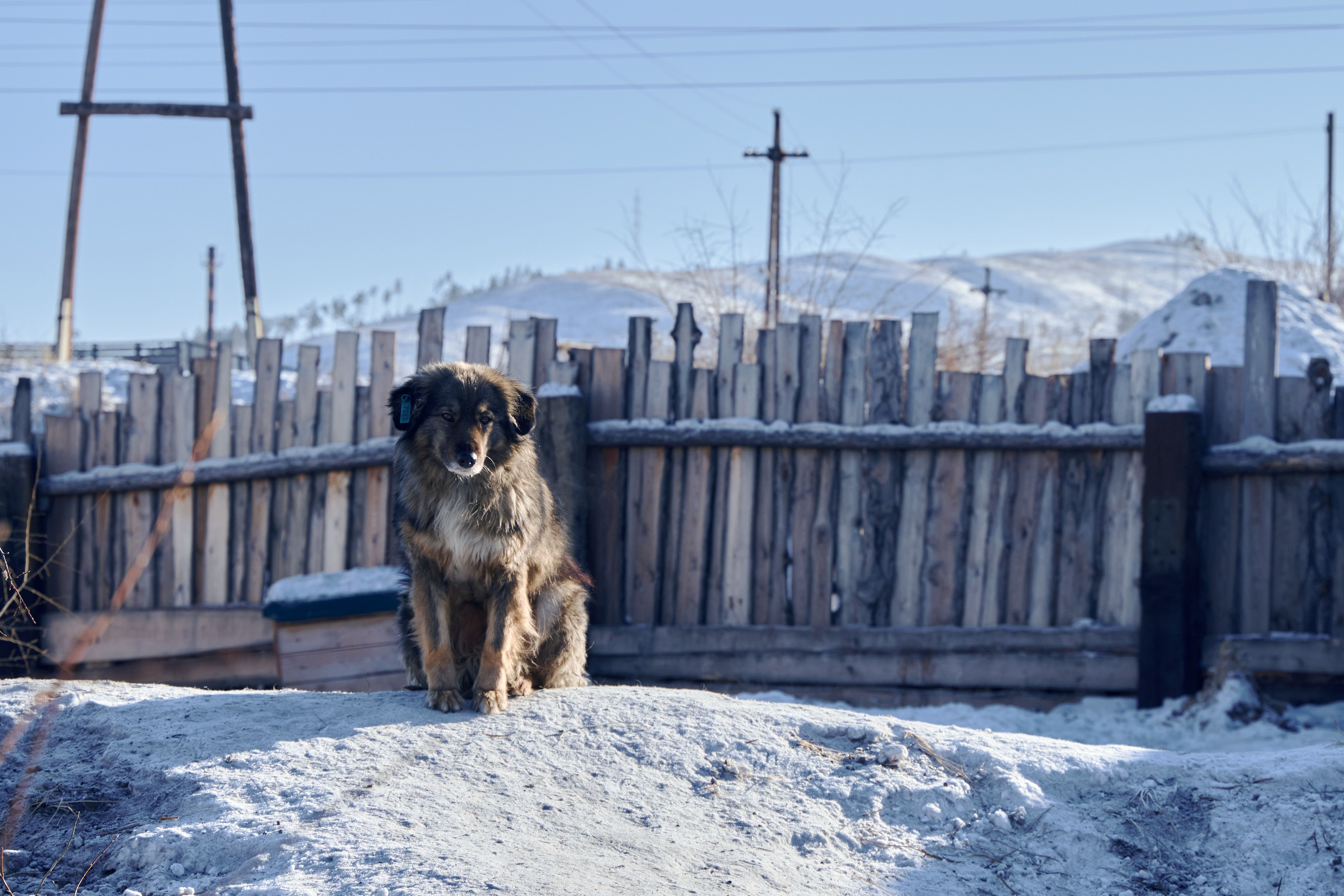 Изображение-image-b1cef80fa235f8f2ccaec1d9e43c515051e03e40-4401x2934-jpg