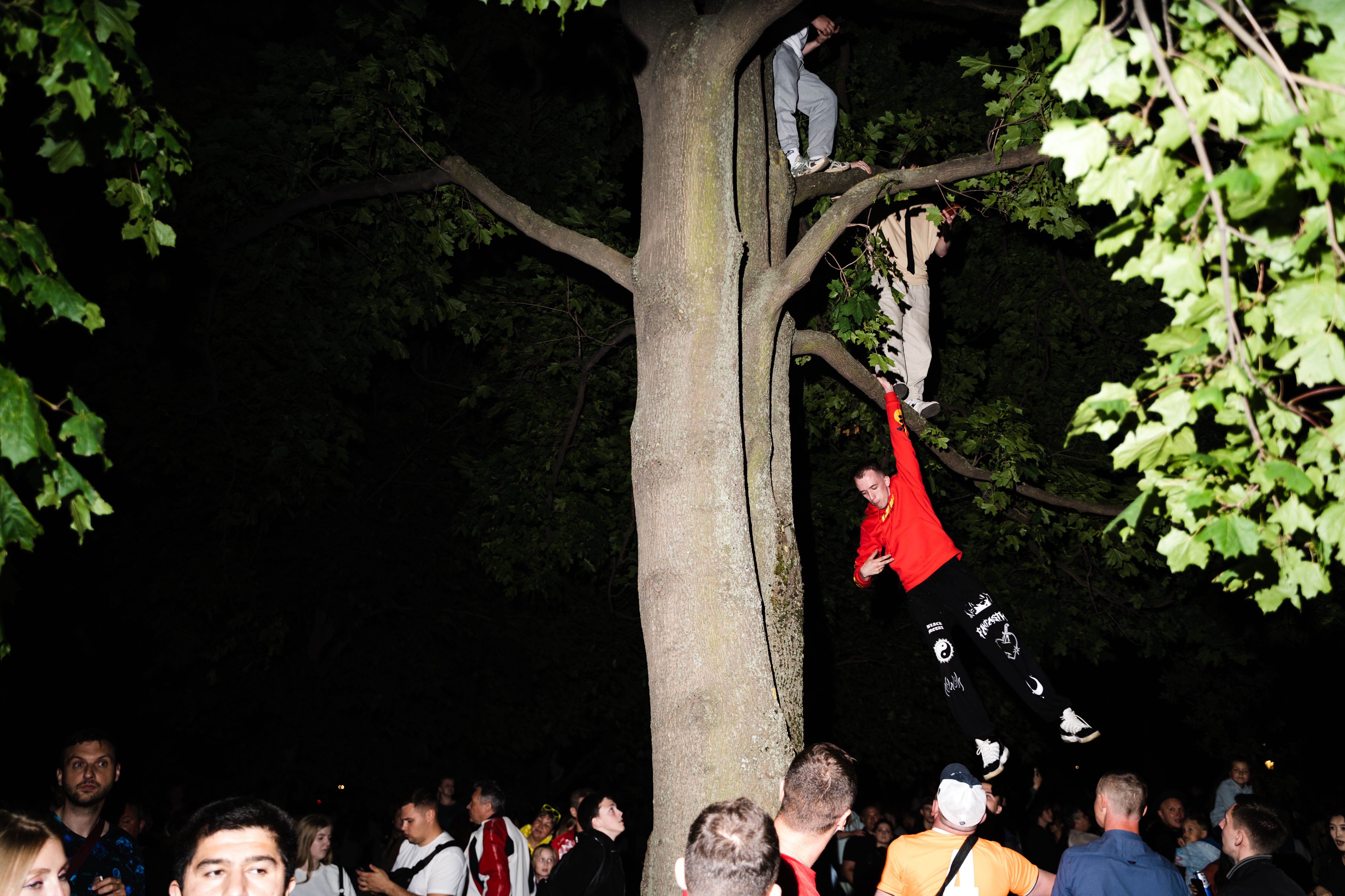 Изображение-image-b4df7bb39cd1093dca3e85dc9ca9fda6cf288c06-6000x4000-jpg