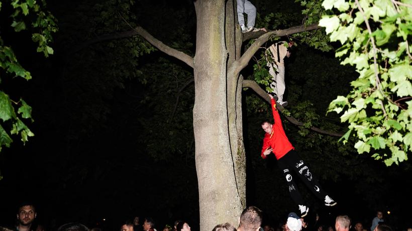 Изображение-image-b4df7bb39cd1093dca3e85dc9ca9fda6cf288c06-6000x4000-jpg