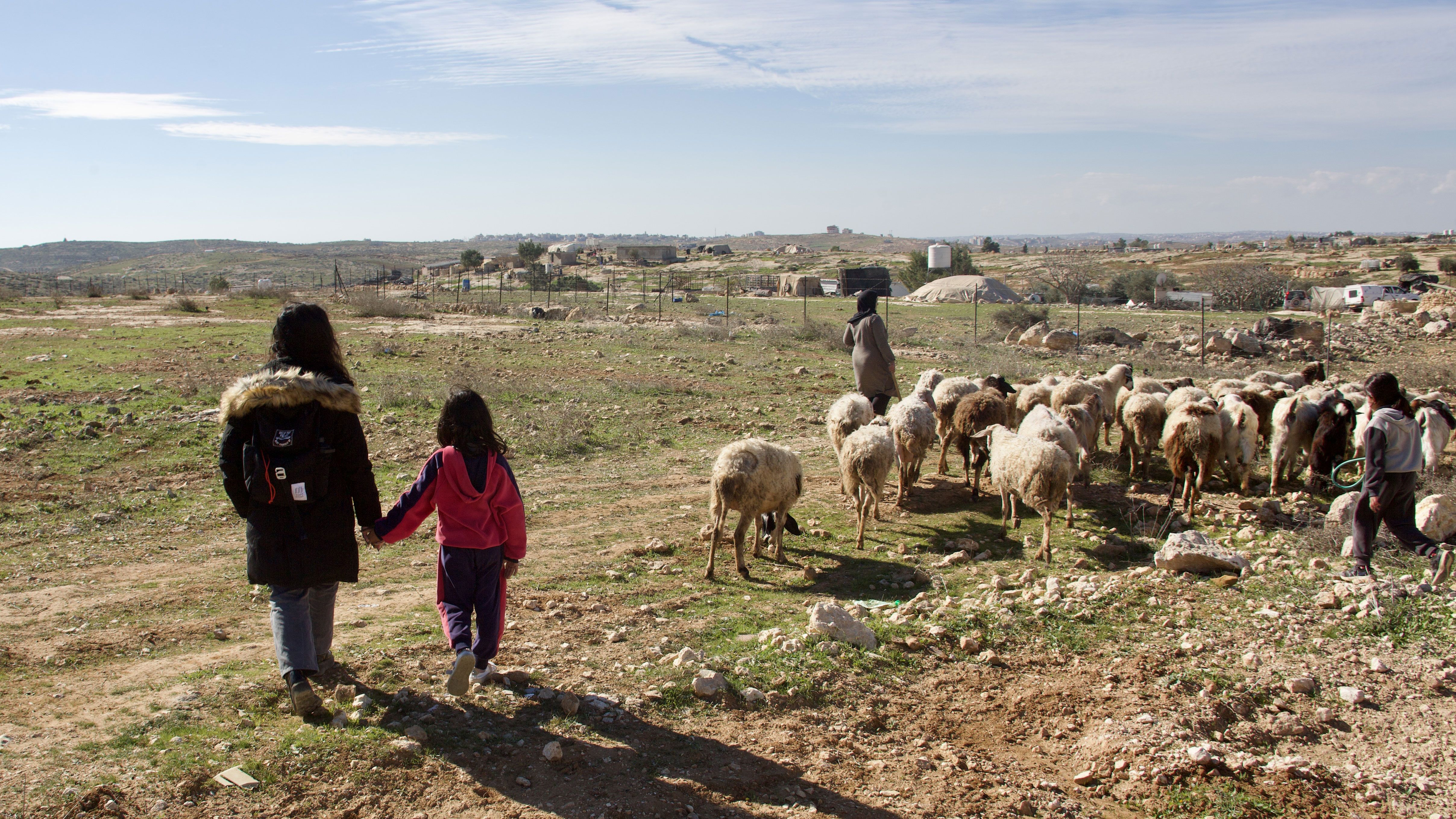 Изображение-image-ba7768249e50eeb87108c52652e1ab41cb40fbb5-4831x2717-jpg