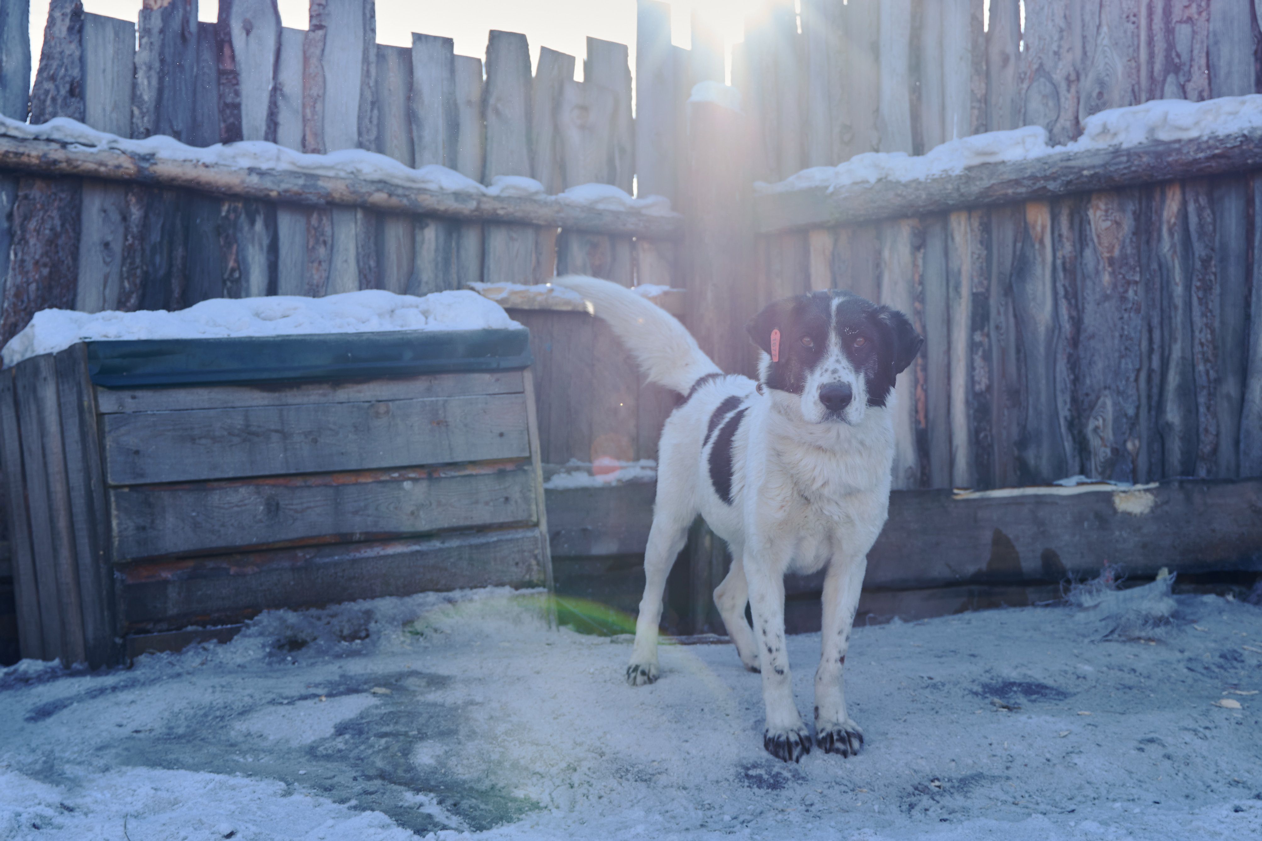 Изображение-image-bb5ed5270f55de542bba84a355f28a7270611804-4012x2674-jpg