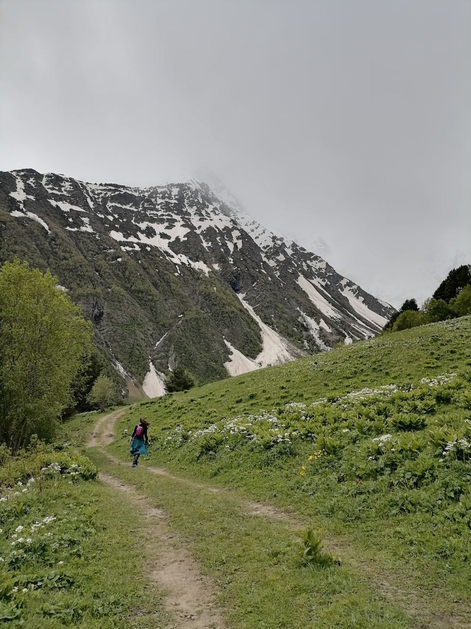 Изображение-image-c5e1b1a4384962325f575925b72f48ff99a63d82-960x1280-jpg