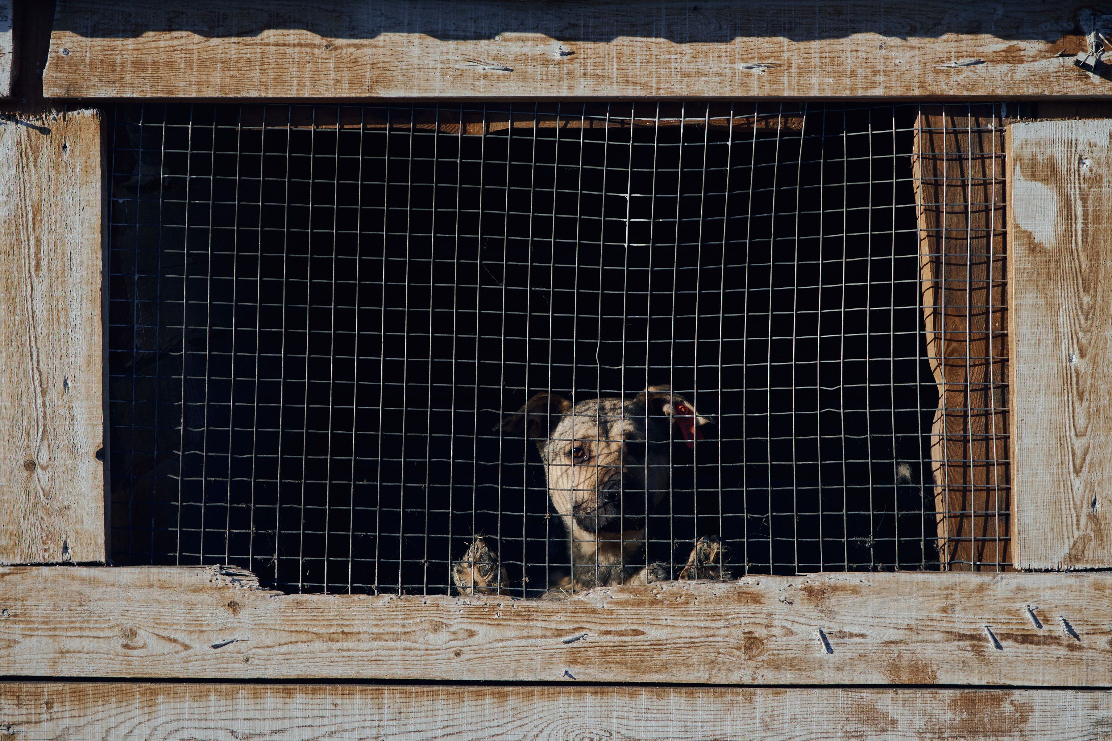 Изображение-image-cc56821085213156c9e3ad21e6cbfec3a0c93e76-3604x2403-jpg