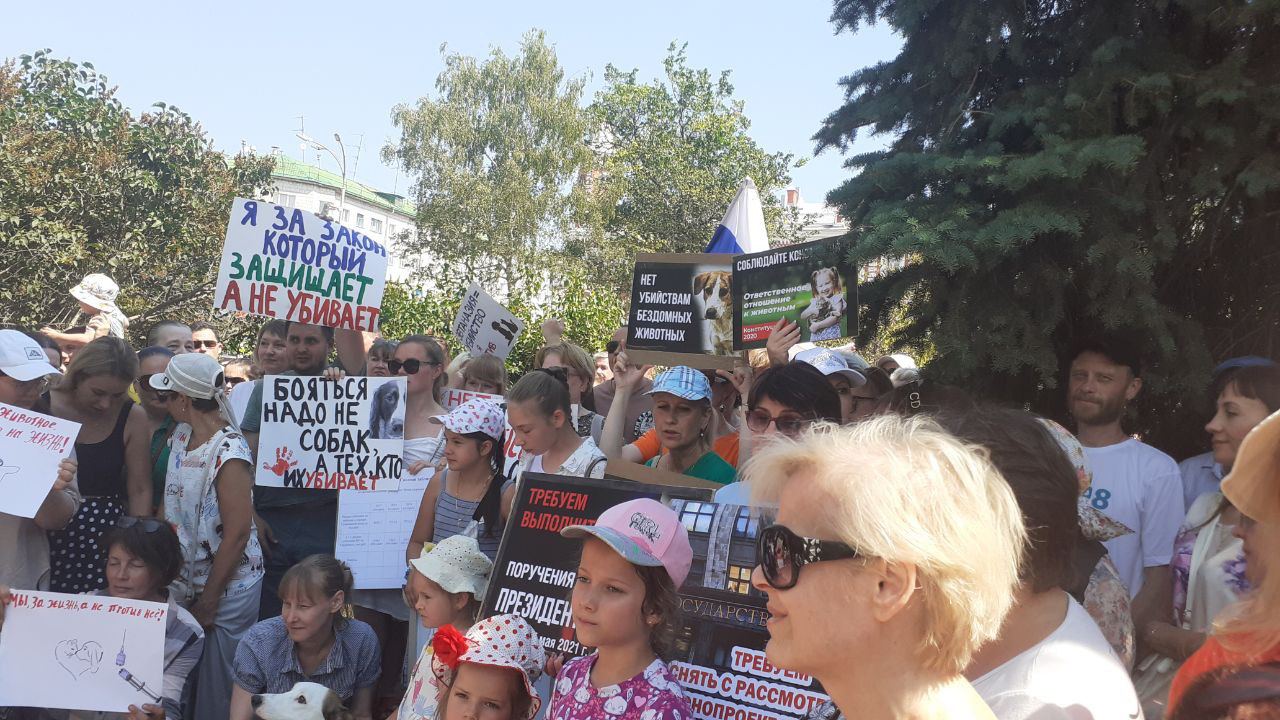 Изображение-image-cf5853f5a6f5e79624ff80c7fafc929138ec6e3a-1280x720-jpg