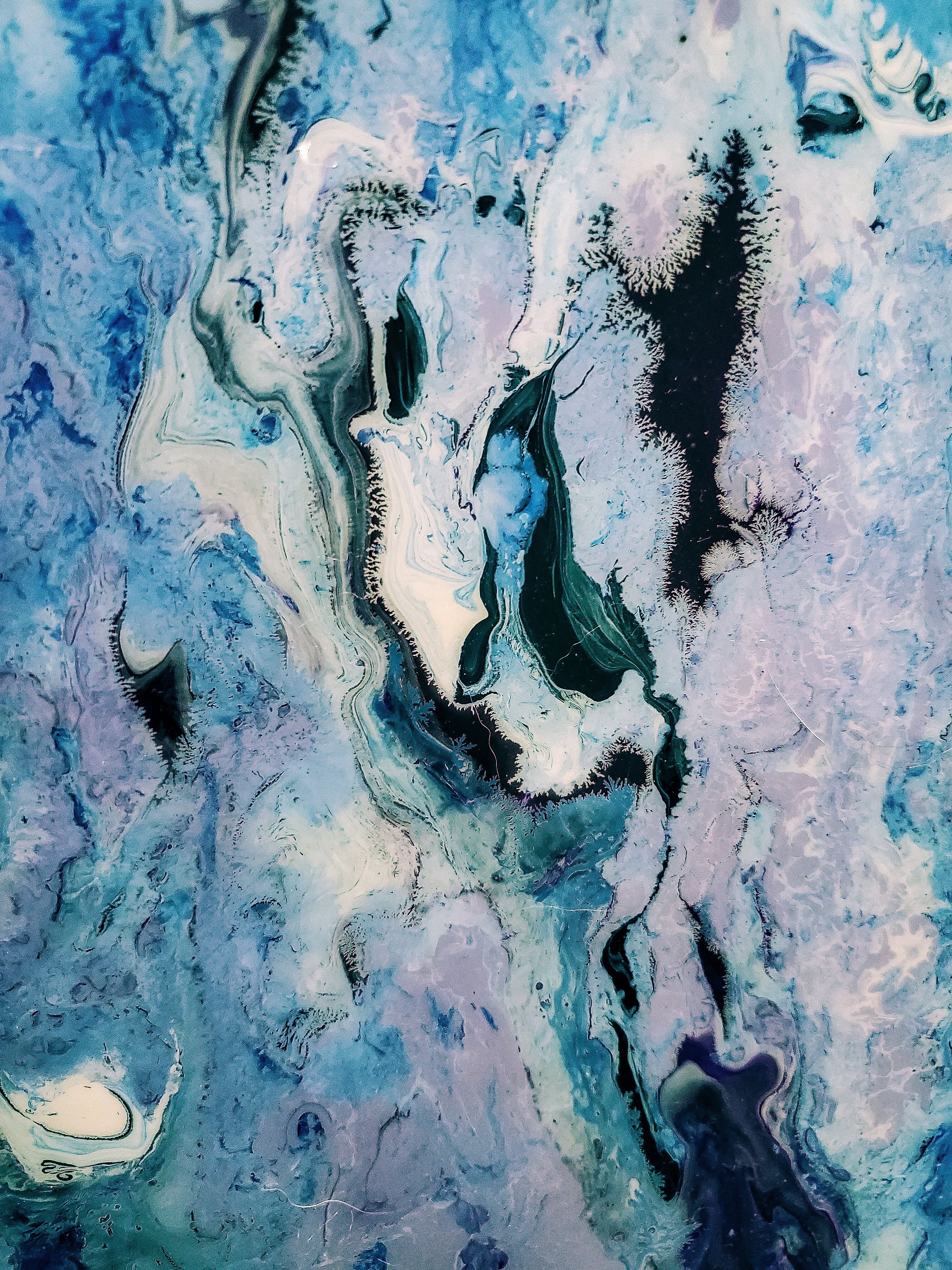 Изображение-image-d576264715b624921173c1b27473d2ac2b6c7b5e-3024x4032-jpg