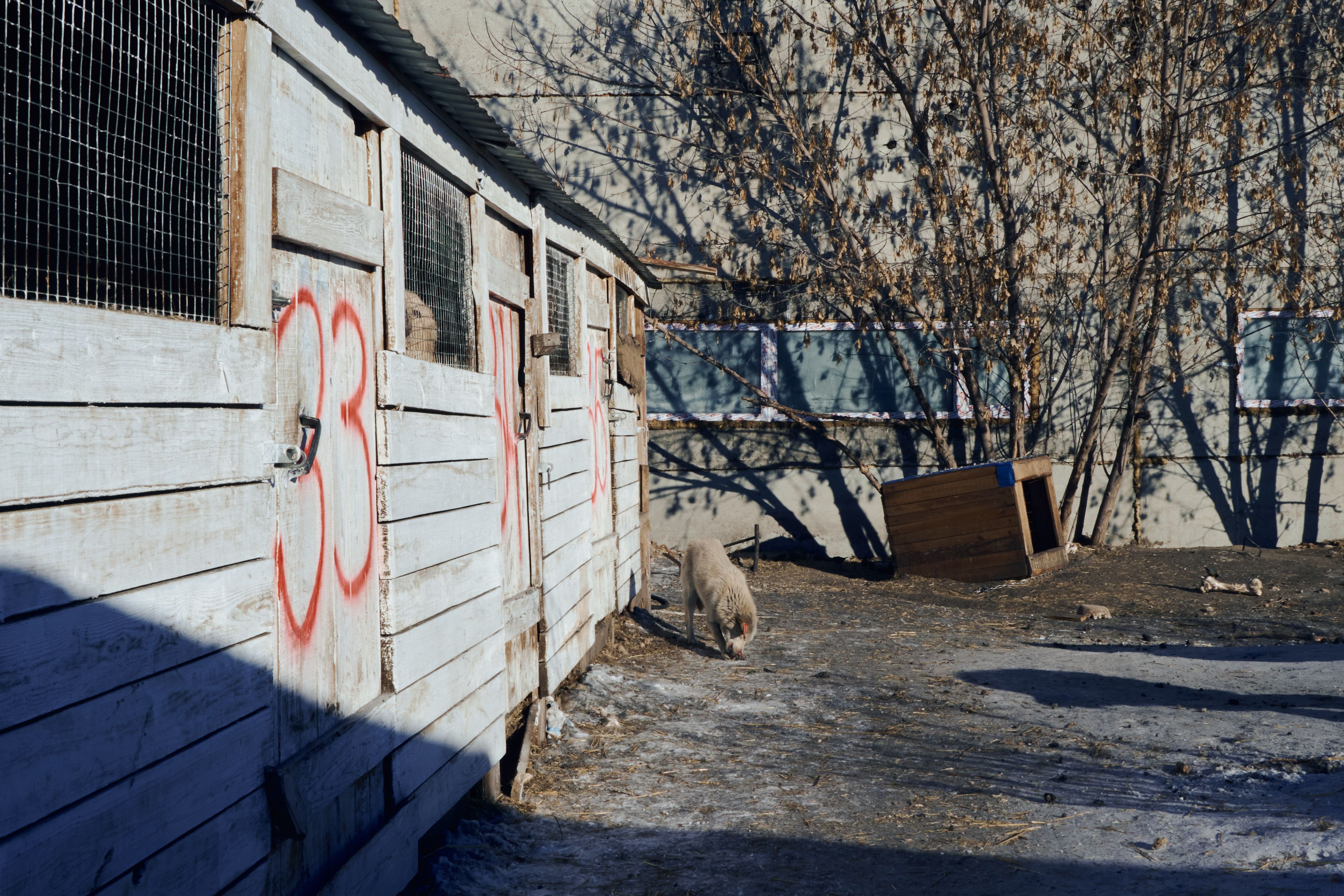 Изображение-image-d5de979c09a217c220dcbbd0f37e430ac72611e4-4562x3042-jpg